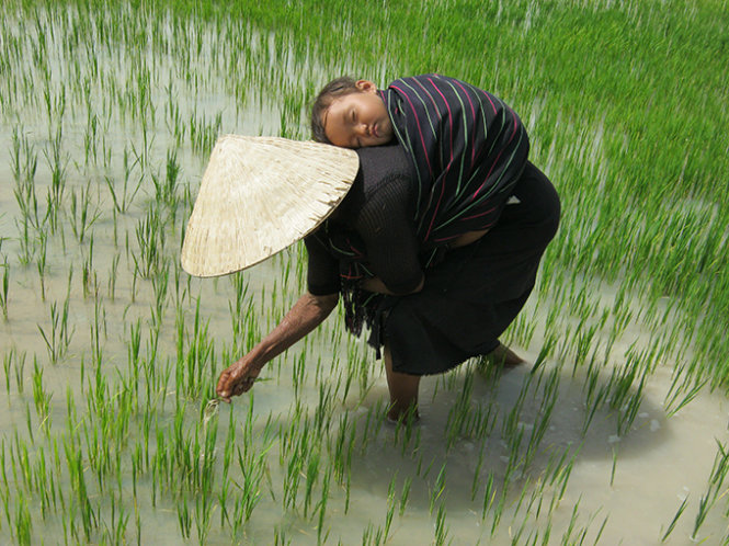 Chiếc khăn thổ cẩm của Mẹ (WGP)