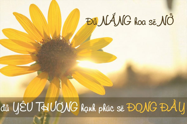 Lạc Quan Không Phải Là Dễ Dàng, Mà Là Chọn Tin