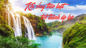 Khi sống theo luật trở thành áp lực