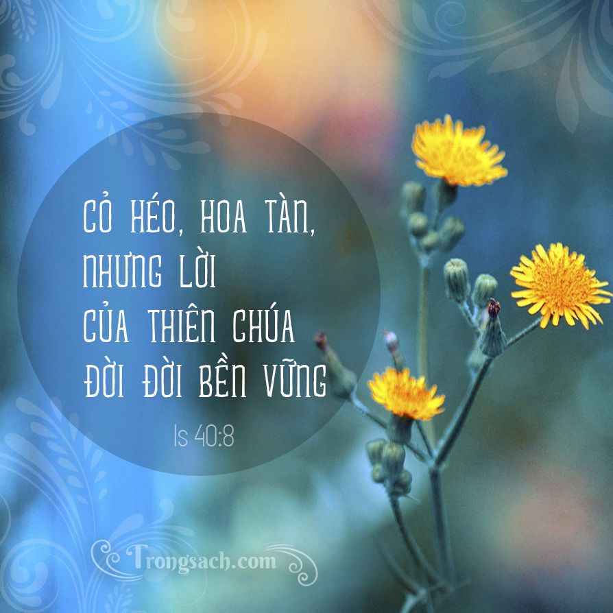 Ánh Sáng kỳ diệu