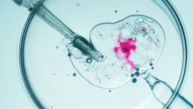 Những giải thích và phản đối đối về phương pháp IVF trong cuốn sách hướng dẫn mới của các Giám mục Hoa Kỳ (GH)