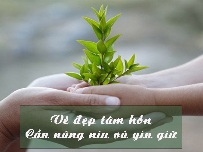 Sắp xếp lại tâm hồn