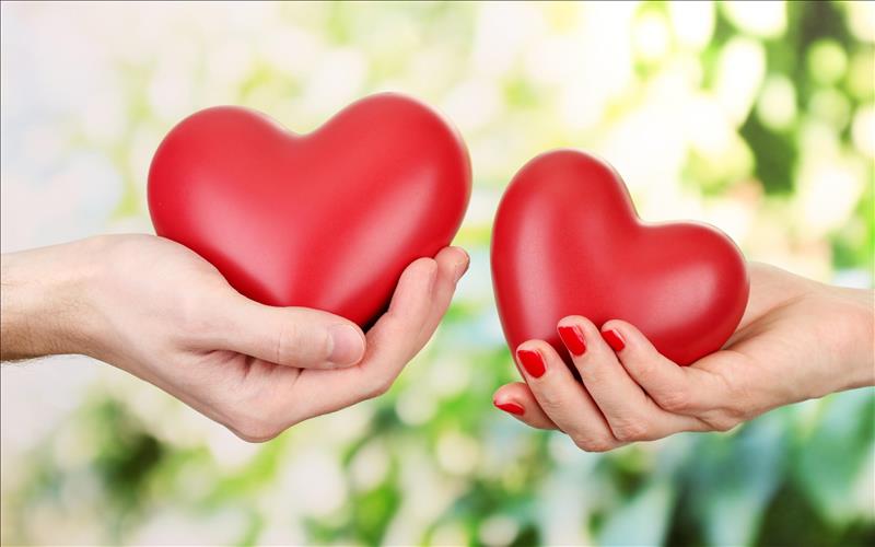 Những hành động tử tế có thể cứu rỗi linh hồn chúng ta (GH)
