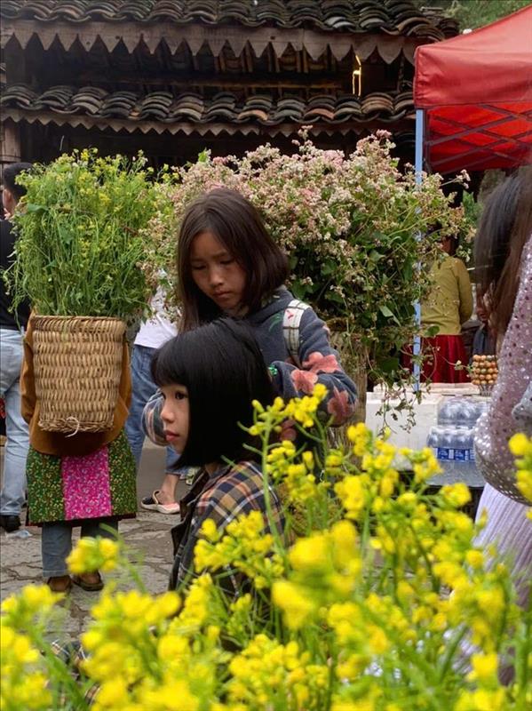 Hộp Sữa Dở Dang