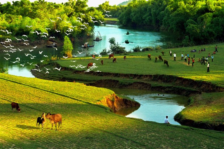 Đôi khi, ta chỉ cần hỏi đúng