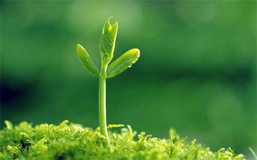 Sống Nhỏ Bé Không Có Nghĩa Là Vô Giá Trị